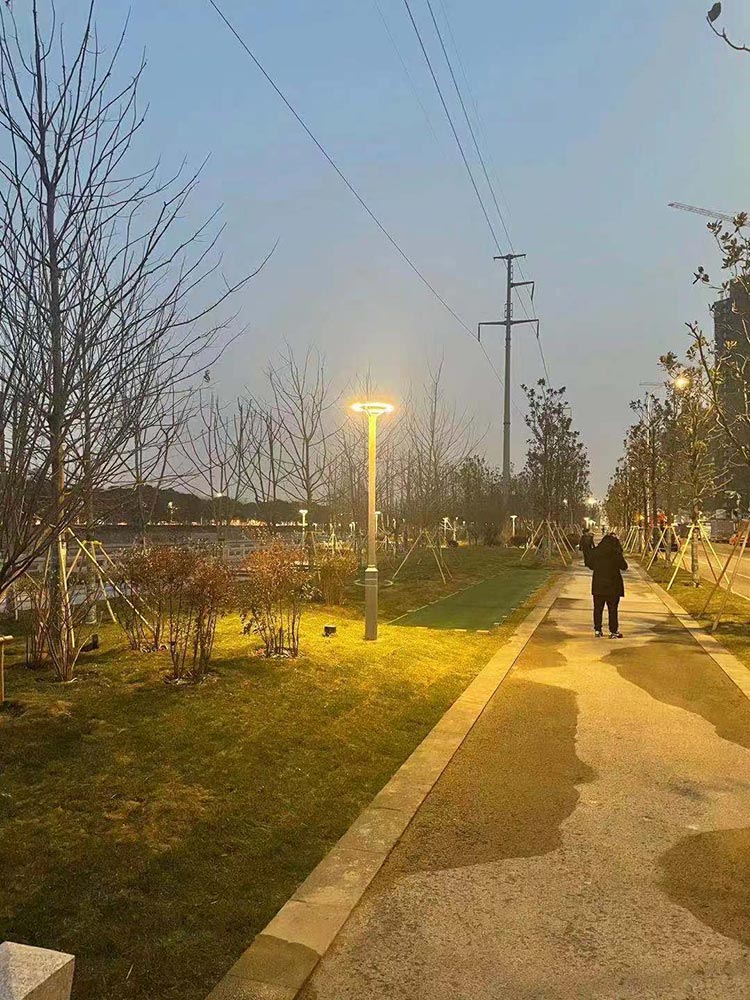 大運(yùn)河南岸綠化景觀